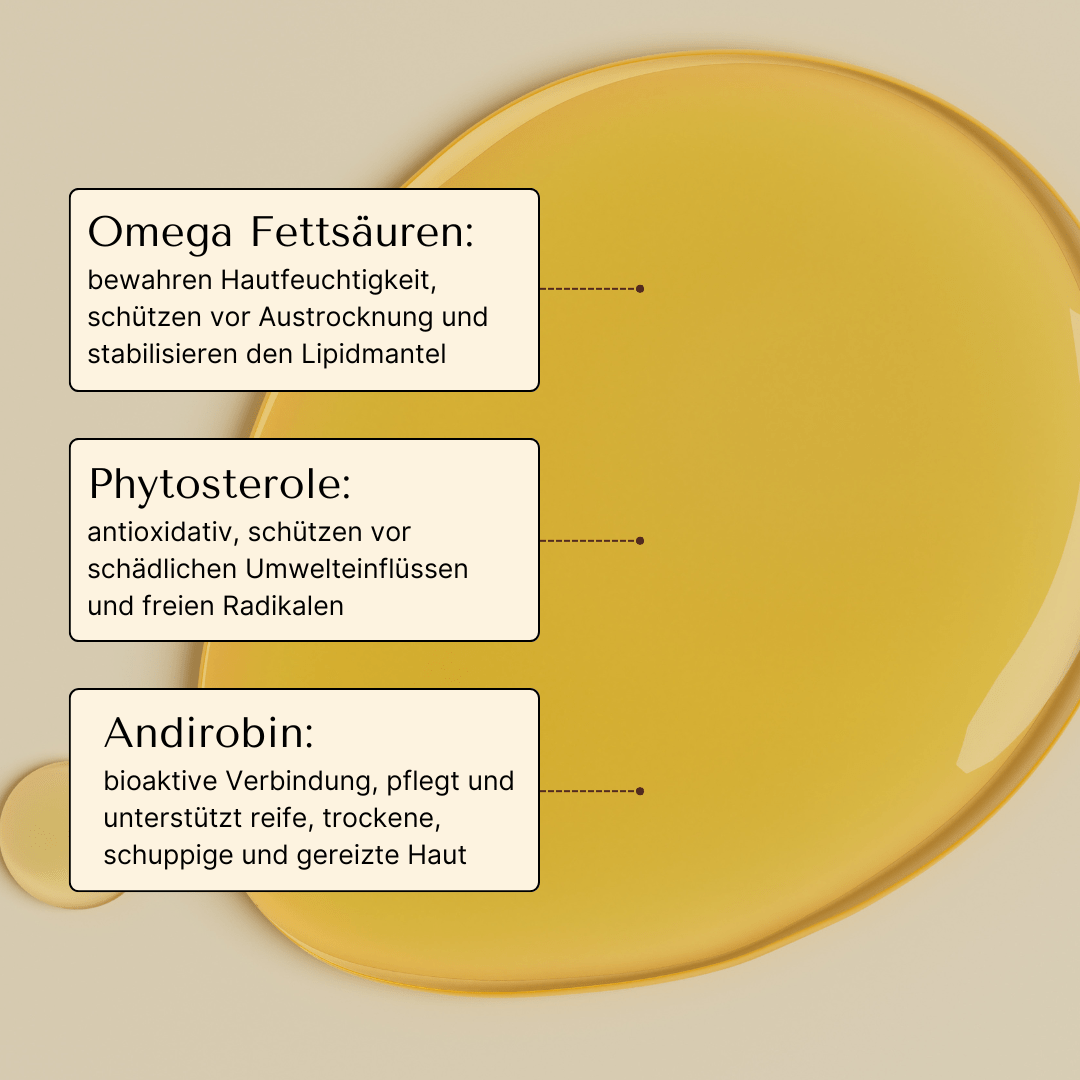Andiroba Öl